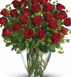 Lily Rose Valentines